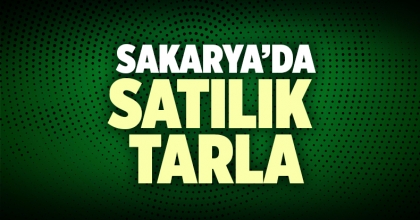Satılık Tarla Sakarya İlanı