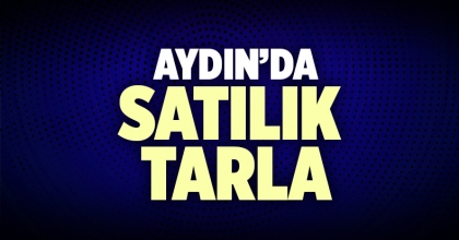 Aydın Satılık Tarla İlanı