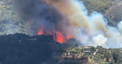 Bursa Mudanya'da Çıkan Orman Yangını Kontrol Altına Alındı