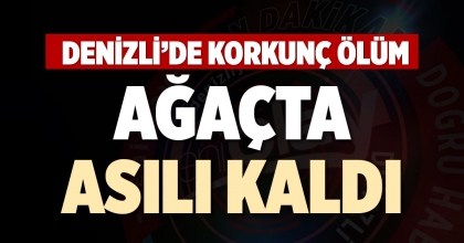 AĞAÇTA ASILI KALDI