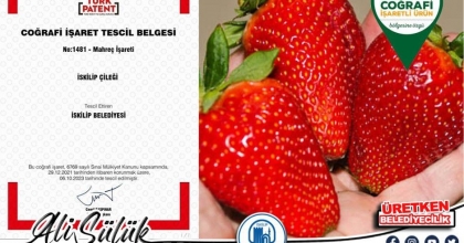 İSKİLİP ÇİLEĞİ MAHREÇ İŞARETİNİ ALDI