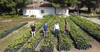 BİNLERCE FİDANI KENDİ ÜRETİYOR