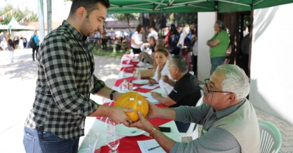 MUĞLA'DA 'EN GÜZEL KAVUN' YARIŞMASI