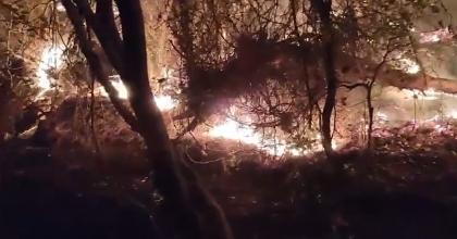 YILDIRIM ORMAN YANGININA SEBEP OLDU