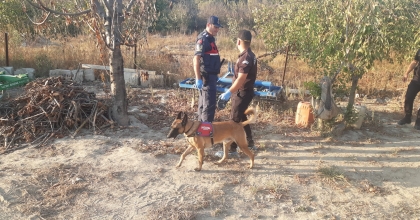 ORMANI YAKMAYA ÇALIŞAN ŞAHIS YAKALANDI