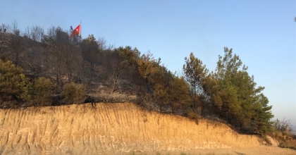 ORMAN YANGINI SERALARA SIÇRAMADAN SÖNDÜRÜLDÜ