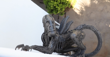 HOLLYWOOD'DA DEĞİL KUŞADASI'NDA