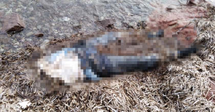 SAHİLDE YARISI OLMAYAN KADIN CESEDİ BULUNDU