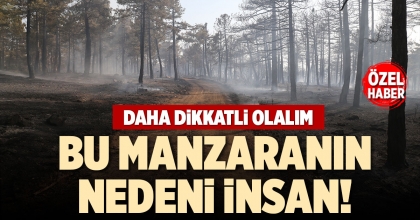 BU MANZARANIN NEDENİ İNSAN!