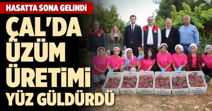 ÇAL'DA ÜZÜM ÜRETİMİ YÜZ GÜLDÜRDÜ