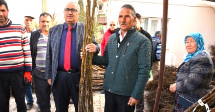 ÇAMELİ’NDE CEVİZ ÜRETİMİNİ ARTIRMAK İÇİN FİDAN DESTEĞİ VERİLECEK