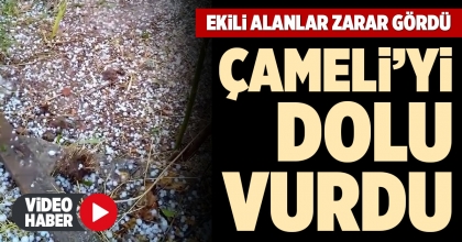 ÇAMELİ’Yİ DOLU VURDU