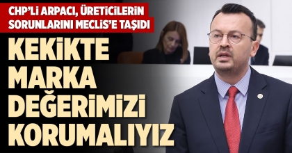 CHP’Lİ ARPACI, ÜRETİCİLERİN SORUNLARINI MECLİS’E TAŞIDI
