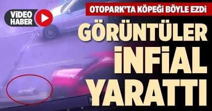 DENİZLİ'DE AVM OTOPARKINDA YATAN KÖPEĞİ BÖYLE EZDİ