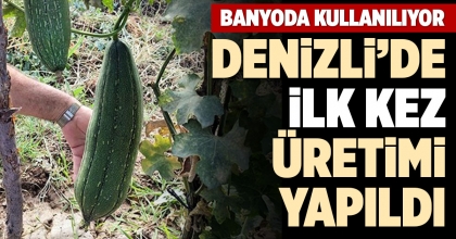 DENİZLİ’DE İLK KEZ ÜRETİMİ YAPILDI