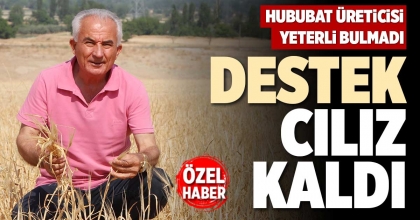 DESTEK  CILIZ KALDI