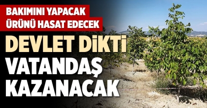 DEVLET DİKTİ VATANDAŞ KAZANACAK