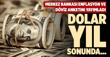 DOLAR YIL SONUNDA…