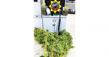 EVLERİNDE UYUŞTURUCU YETİŞTİRİP SATAN BABA-OĞUL, POLİSİN TAKİBİNDEN KAÇAMADI