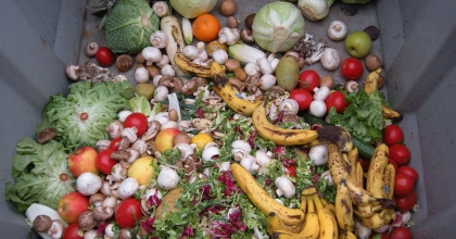 HER YIL YAKLAŞIK 1 MİLYAR TON GIDA ÇÖPE GİDİYOR