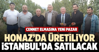 HONAZDA ÜRETİLİYOR İSTANBUL’DA SATILACAK