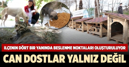 MERKEZEFENDİ'NİN DÖRT BİR YANINDA BESLENME NOKTALARI OLUŞTURULUYOR