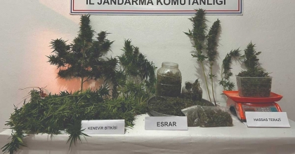 JANDARMA 2 KİLOGRAM ESRAR VE KENEVİR ELE GEÇİRDİ  