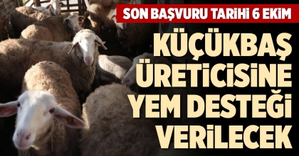 KÜÇÜKBAŞ ÜRETİCİSİNE YEM DESTEĞİ VERİLECEK