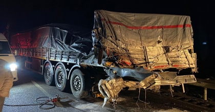 LASTİK TAMİRİNİ BEKLEYEN SÜRÜCÜ TIRIN ÇARPMASI SONUCU HAYATINI KAYBETTİ