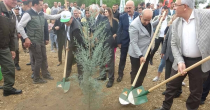 MUĞLA’DA 100. YILDA 100 FİDAN DİKİLDİ  