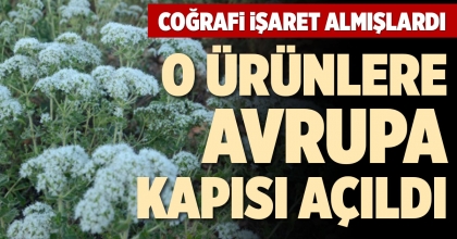O ÜRÜNLERE AVRUPA KAPISI AÇILDI