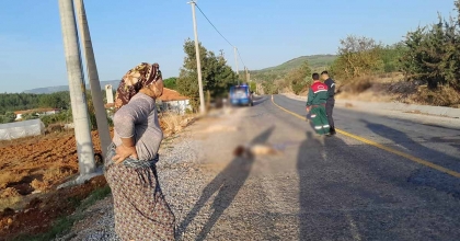 OTOMOBİL SÜRÜYE DALDI, 4 KEÇİ TELEF OLDU  