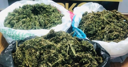 POLİS İKNA ETTİ, 888 GRAM ESRAR ELE GEÇİRDİ 