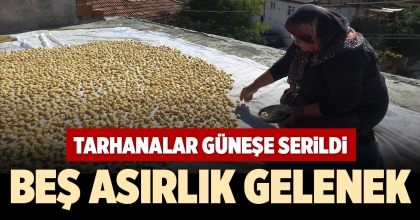 TARHANALAR GÜNEŞE SERİLDİ