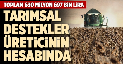 TARIMSAL DESTEKLER ÜRETİCİNİN HESABINDA