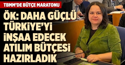 TBMM’DE BÜTÇE MARATONU