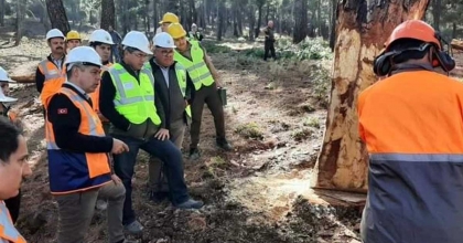 ÜRETİMDE VERİMLİLİK İÇİN TATBİKAT