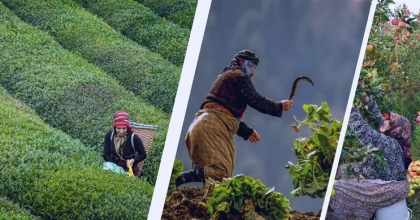 TARIMSAL ÜRETİMİN SİGORTASI 15 EKİM DÜNYA KADIN ÇİFTÇİLER GÜNÜ