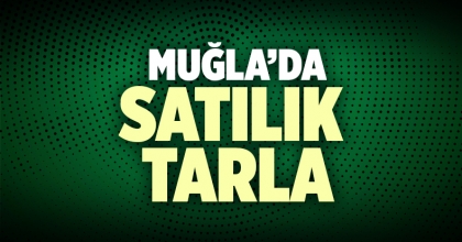 Muğla Satılık Tarla İlanı