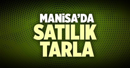 Satılık Tarla Manisa İlanı
