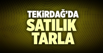 Satılık tarla Tekirdağ İlanı