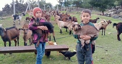 “KAVŞİT KÖYÜ VE YÖRESİ KEÇİCİLİK PROJESİ” DEVAM EDİYOR