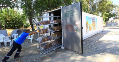 202 BİN PETEK ŞOKLANDI