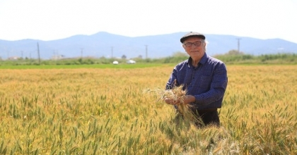GENEL TARIM SAYIMI BAŞLIYOR