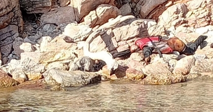 ADADA CESETLE KARŞILAŞTILAR