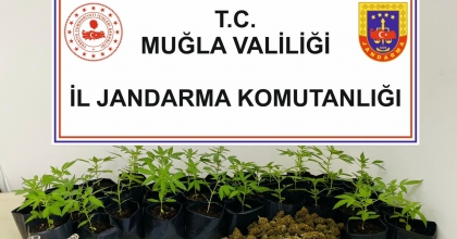 UYUŞTURUCU OPERASYONUNDA 2 KİŞİ TUTUKLANDI