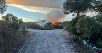 ORMAN YANGINI SÖNDÜRÜLDÜ