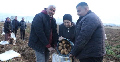 PATATES ÜRETİCİNİN YÜZÜNÜ GÜLDÜRDÜ