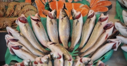 10 AYLIK SU ÜRÜNLERİ İHRACATI  1 MİLYAR 404 MİLYON DOLAR OLDU