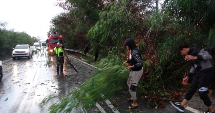 FIRTINADAN DEVRİLEN AĞAÇLAR TRAFİĞİ AKSATTI